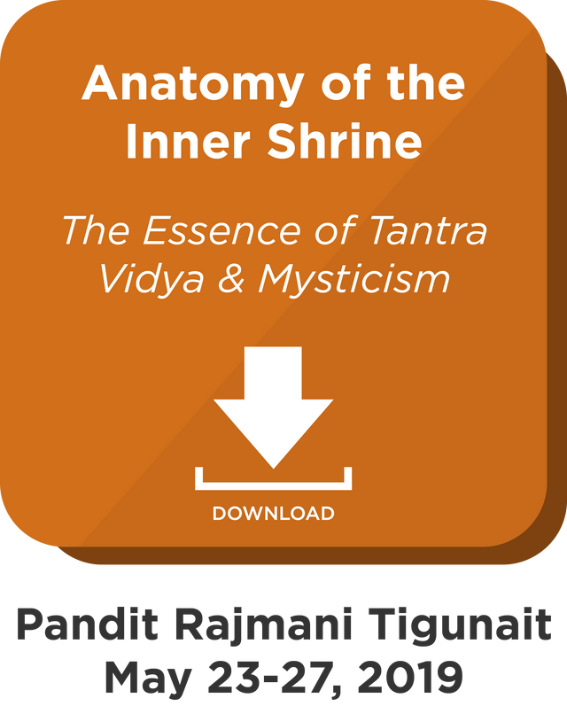 Anatomy of the Inner Shrine: Digital Download