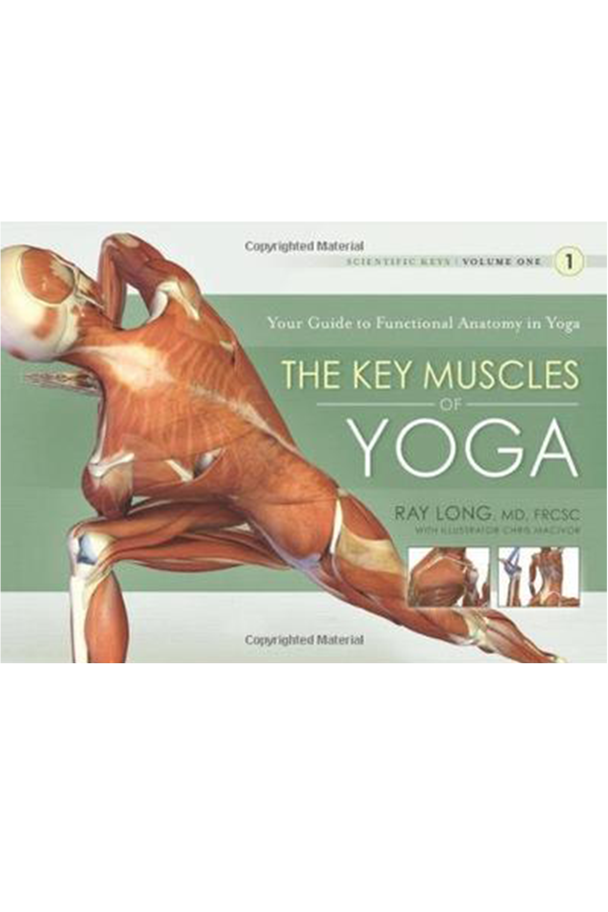 The Key Muscles of Yoga: Volume 1