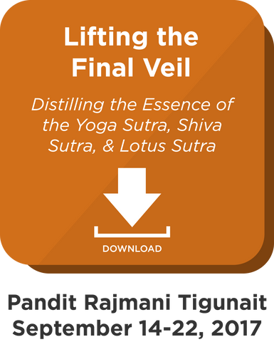 Lifting the Final Veil: Digital Download