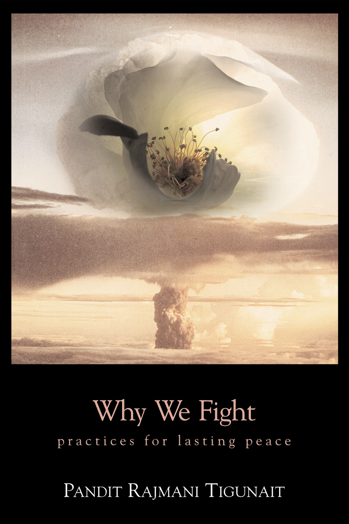 Why We Fight: Practices for Lasting Peace