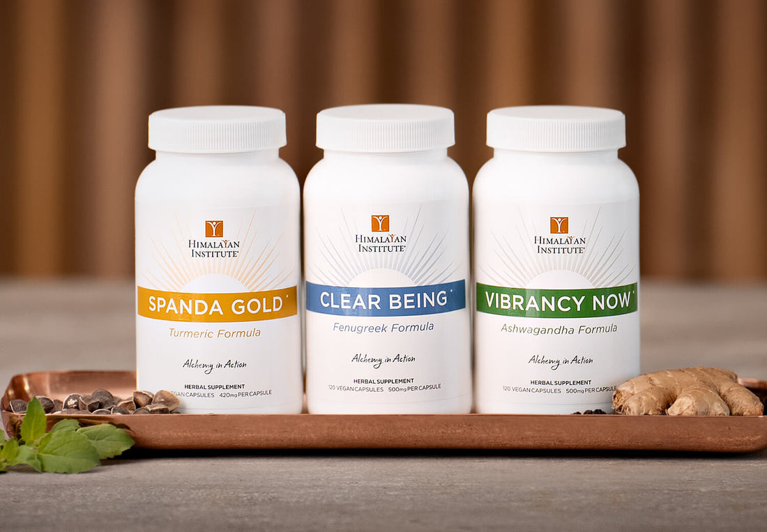 Alchemy in Action 3-Pack Bundle