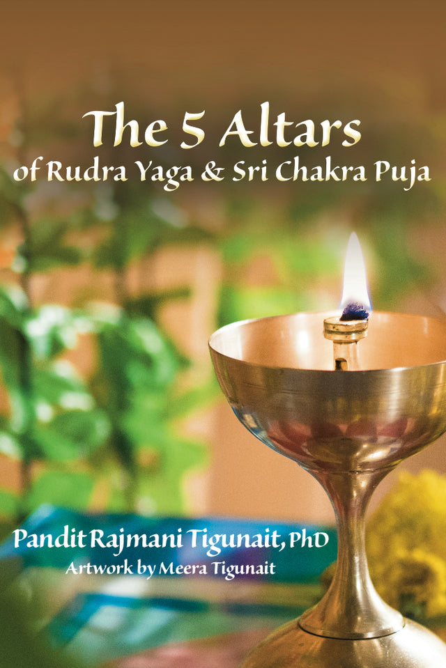 The 5 Altars of Rudra Yaga & Sri Chakra Puja