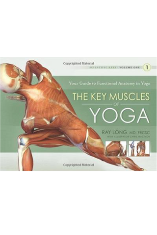 The Key Muscles of Yoga: Volume 1