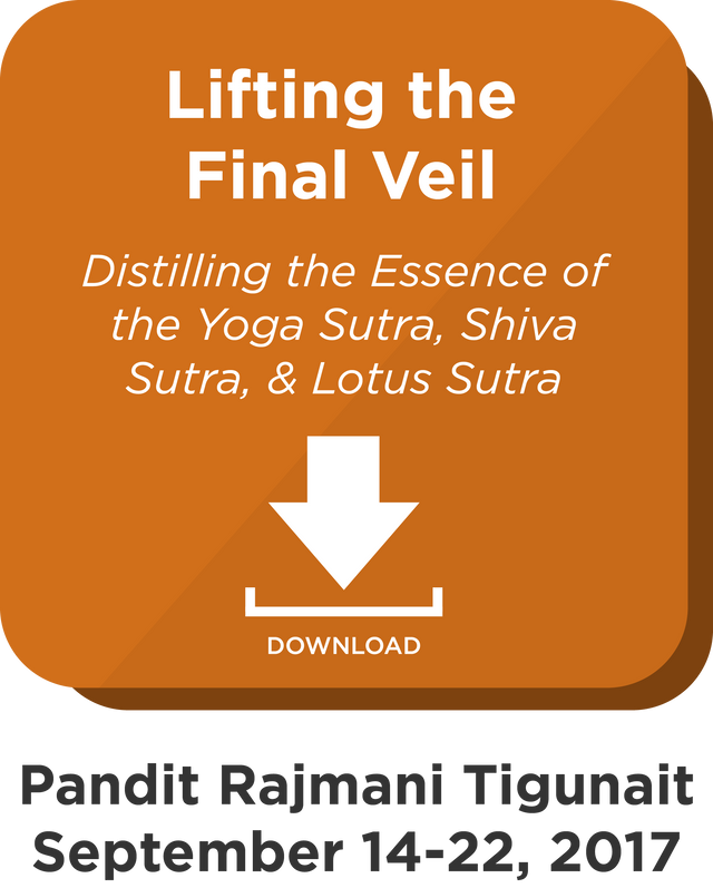 Lifting the Final Veil: Digital Download