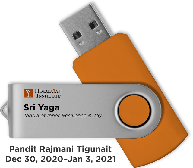 Sri Yaga - Tantra of Inner Radiance and Joy: USB Audio