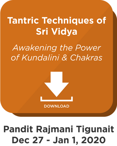 Tantric Techniques of Sri Vidya: Digital Download