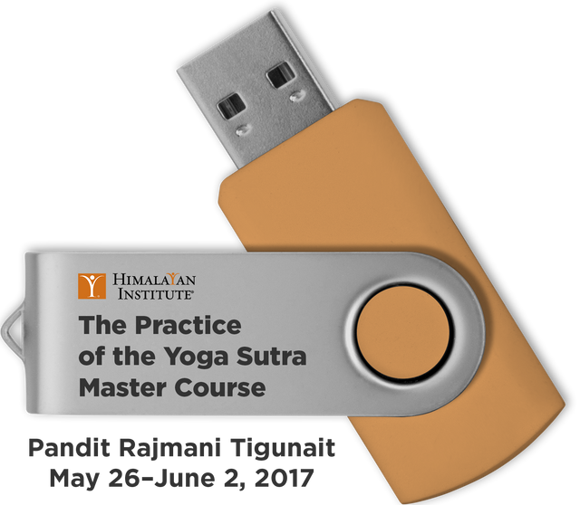 Practice of the Yoga Sutra Master Course: USB Audio