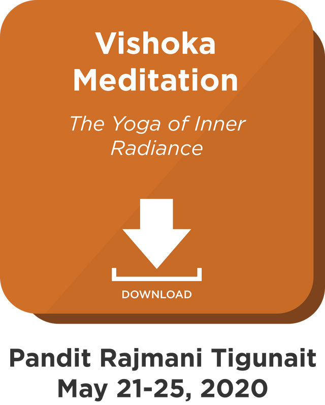 Vishoka Meditation: Digital Download